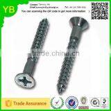 2016 New Custom Stainless Steel Screws and Nails Bulk Caps thumbnail-1