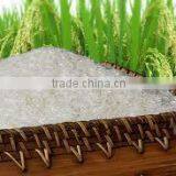 ROUND GLUTINOUS RICE 5% BROKEN FROM VIET NAM RICE DISTRIBUTORS