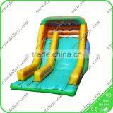 Joyful Summer games big water slides for sale