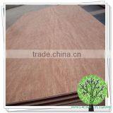 Waterproof Ply Wood thumbnail-1