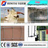 China Manufacturer Hinge Joint Grassland Field Fence Machine 16 Years Factory
