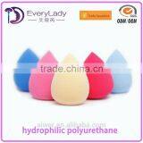 EveryLady Oval Shaped Puff Poly Makeup Sponge 2015
