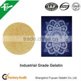2016 The Newest Industrial Gelatin For Polished Cloth and Paper with high quality and low price