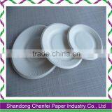 White Round Paper Plate Disposable Paper Plate thumbnail-2