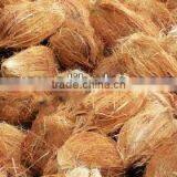 Husked Coconuts From Tamilnadu thumbnail-5