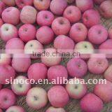 Delicious Fuji Apple