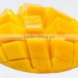 Top of the Line Mango Extract thumbnail-1