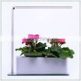 Best Modern Family Life Fragrance Lamp thumbnail-1