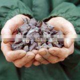 Water Caltrop (Trapa Natans) thumbnail-2