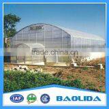 Agriculture Tunnel Plastic Tomato Commercial Greenhouse thumbnail-1