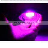 High Quality Spider COB Led Grow Light With CE&RoHS Approved 540W COB Led Grow Light thumbnail-6