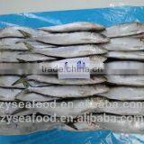 Chinese Frozen Sardine Fish thumbnail-1