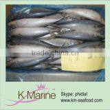 Boat Frozen Mackerel thumbnail-1