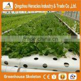 Heracles 2016 Hot Sale Flower Pot Vertical Garden Green Wall With Hydroponics System thumbnail-2