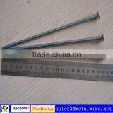 Common Nail thumbnail-1