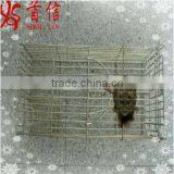 Humane Mouse Trap Cage thumbnail-2