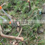 Anvil Lopper With Telescopic Alum Handle thumbnail-5