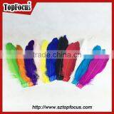 Cheap Dyed Any Color Indian Feather Headdress Down Goose Feather thumbnail-1