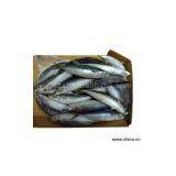 Sell Pacific Mackerel thumbnail-1