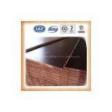 13mm915*1830mm Black Film Faced Plywood for Building thumbnail-3