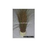 Artificial Grass thumbnail-1