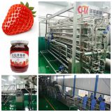 strawberry paste processing line