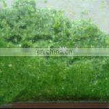 Great Helper of Garlic Grinding Machine,garlic Grinder,garlic Milling Machine thumbnail-6