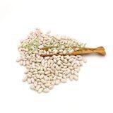 White Kidney Beans Bashake Long Shape thumbnail-3