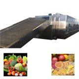 Industrial Belt Dryer