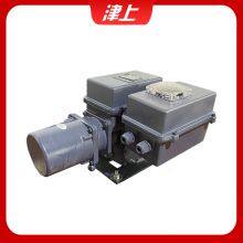 Bernard Angle Stroke Electric Actuator AS-25/F30H thumbnail-4