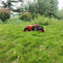 Cordless Brush Cutter, China Radio Controlled Lawn Mower for Sale Price, Robot Lawn Mower With Remote Control for Sale thumbnail-5