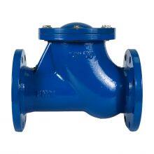 DN300 PN16 Ductile Iron GGG50 Ball Swing Check Valves for Industrial Pumping Wastewater Applications Non Return Valve thumbnail-1