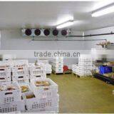 Refrigerator Insulation pu Sandwich Panel, Polyurethane Cold Rom Panel thumbnail-5