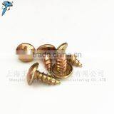 Professional Manufacturer Hot Sale New Truss Head Self Tapping Screw thumbnail-5