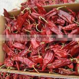 2014 new crops Chinese sweet chilli paprika