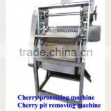 Seed Removing Machine / Cherry Seed thumbnail-4