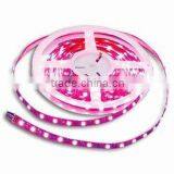 Led flexible strip light