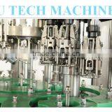 Automatic Glass Bottle Juice Filling Machine (BCGF Series) thumbnail-1