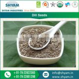Light Brown Dill Seeds use for Bread and Indian dishes