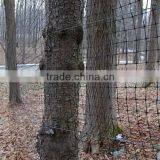 Factory Chicken Plastic Net/hencoop Plastic Net thumbnail-4