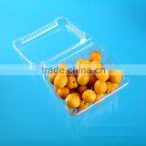Factory Price Disposable Plastic Fruit Packaging Box With Lid thumbnail-2