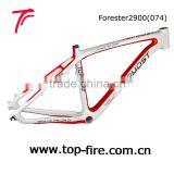 Cheap & high quality Chinese carbon frames for MTB bike