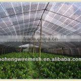 Vegetable Greenhouse100% HDPE SUNSHADE NETTING