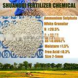 Promotion of NPK Compound Fertilizer
