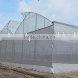 Greenhouse Film thumbnail-5