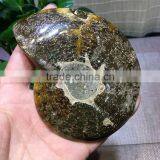 Natural Conch Ammonite Fossils for Decoration/ Pendants