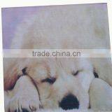 100% Polyester Printing Dog Design Cushion Covers
