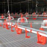 Poultry Farm Ground Raising Chicken Broiler Equipment thumbnail-1
