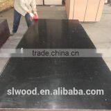 a Mass of Film Faced Plywood Poplar Core WBP Glue thumbnail-2