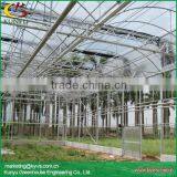 Multi-span Polycarbonate Greenhouse Commercial Greenhouse for Sale thumbnail-3